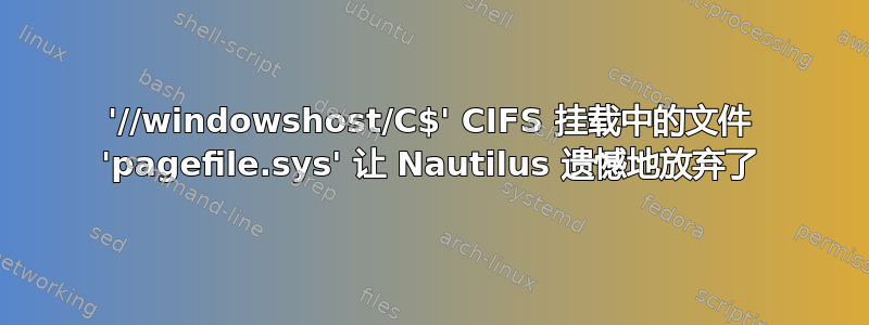 '//windowshost/C$' CIFS 挂载中的文件 'pagefile.sys' 让 Nautilus 遗憾地放弃了