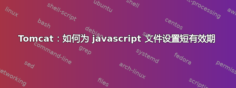 Tomcat：如何为 javascript 文件设置短有效期