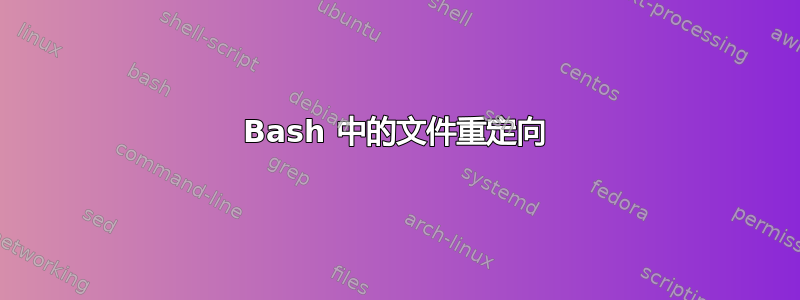 Bash 中的文件重定向