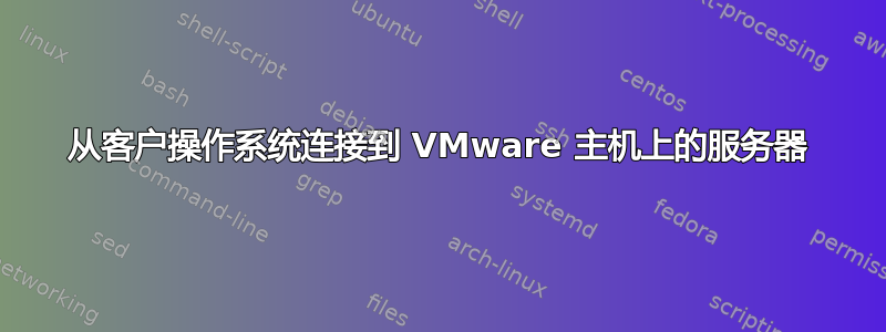 从客户操作系统连接到 VMware 主机上的服务器