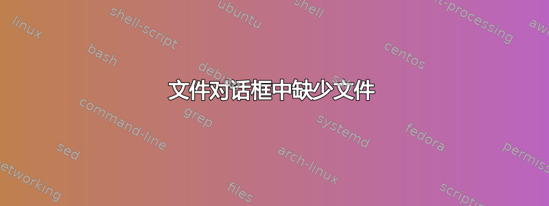 文件对话框中缺少文件