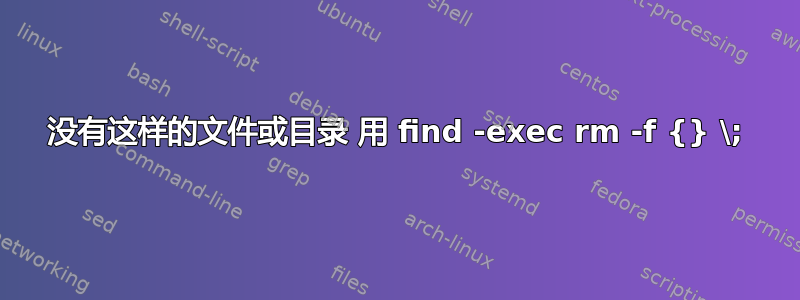 没有这样的文件或目录 用 find -exec rm -f {} \;