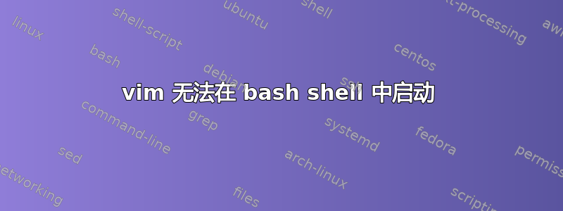 vim 无法在 bash shell 中启动