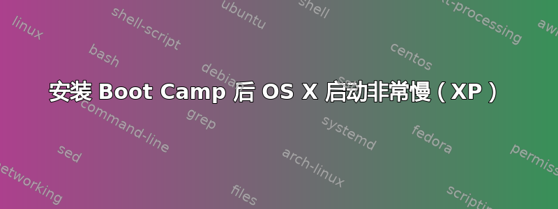 安装 Boot Camp 后 OS X 启动非常慢（XP）