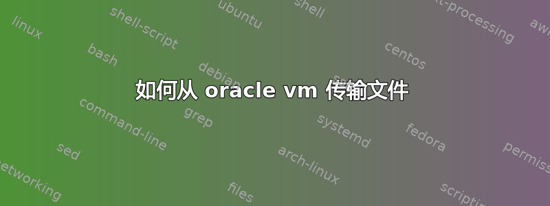 如何从 oracle vm 传输文件