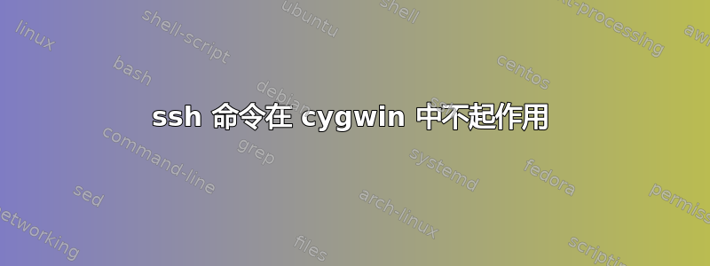 ssh 命令在 cygwin 中不起作用