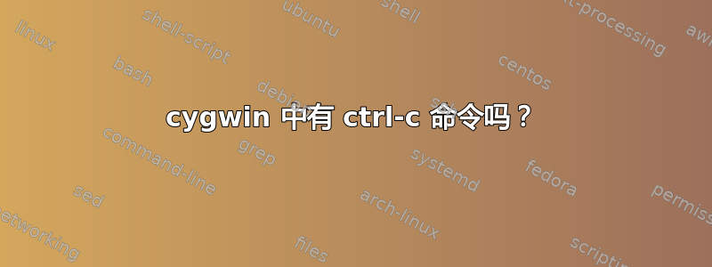 cygwin 中有 ctrl-c 命令吗？