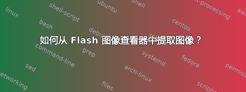 如何从 Flash 图像查看器中提取图像？