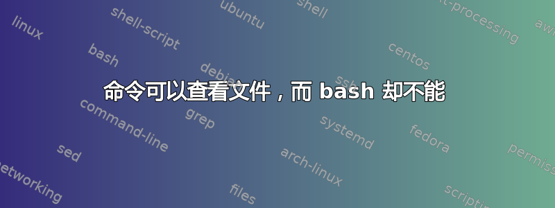 命令可以查看文件，而 bash 却不能