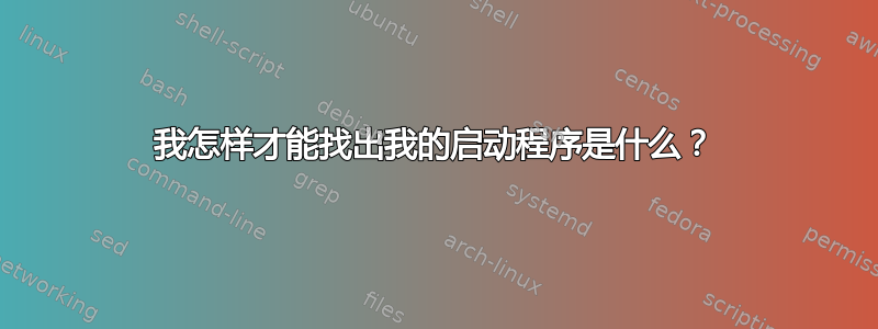 我怎样才能找出我的启动程序是什么？