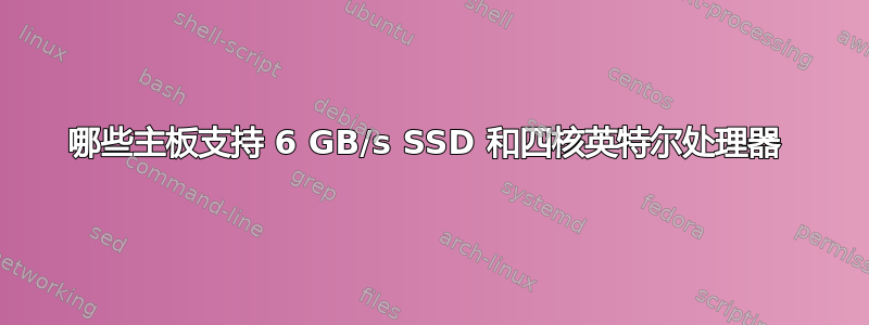 哪些主板支持 6 GB/s SSD 和四核英特尔处理器 