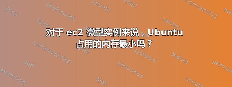 对于 ec2 微型实例来说，Ubuntu 占用的内存最小吗？