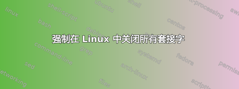 强制在 Linux 中关闭所有套接字