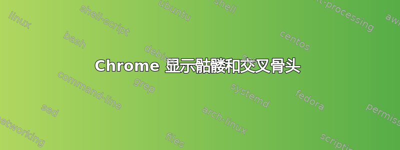 Chrome 显示骷髅和交叉骨头