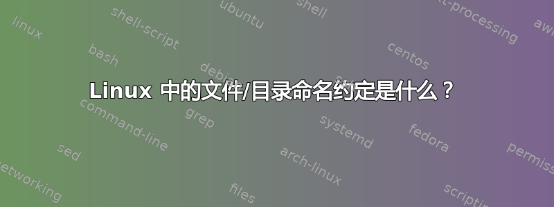 Linux 中的文件/目录命名约定是什么？