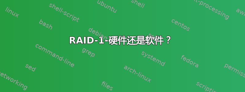 RAID-1-硬件还是软件？