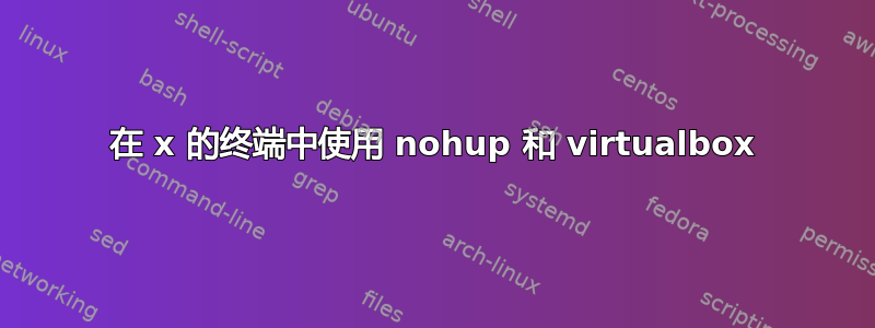 在 x 的终端中使用 nohup 和 virtualbox