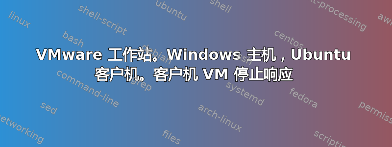 VMware 工作站。Windows 主机，Ubuntu 客户机。客户机 VM 停止响应