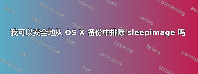 我可以安全地从 OS X 备份中排除 sleepimage 吗