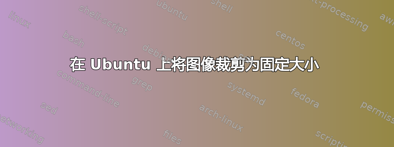 在 Ubuntu 上将图像裁剪为固定大小