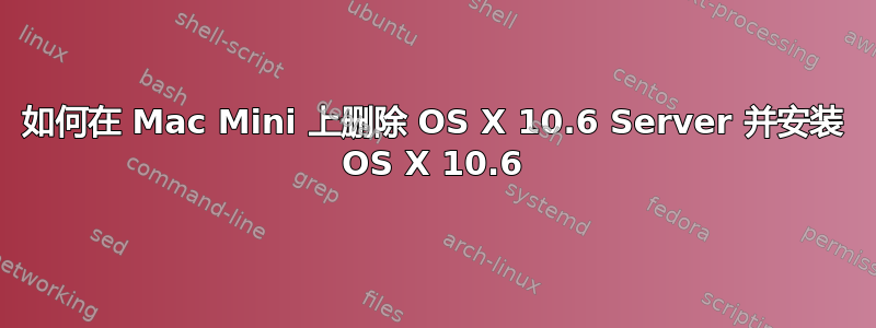 如何在 Mac Mini 上删除 OS X 10.6 Server 并安装 OS X 10.6