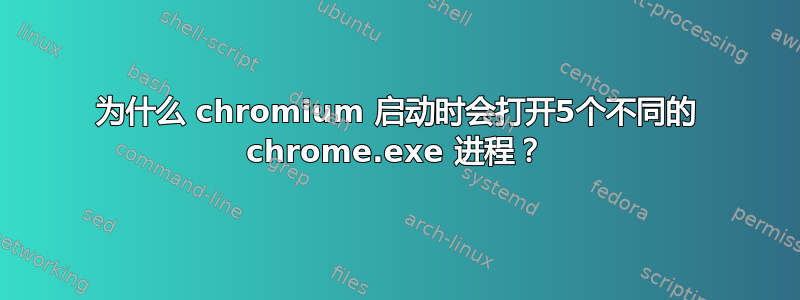 为什么 chromium 启动时会打开5个不同的 chrome.exe 进程？