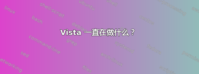 Vista 一直在做什么？