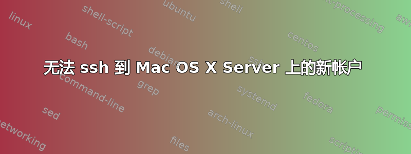 无法 ssh 到 Mac OS X Server 上的新帐户