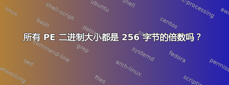 所有 PE 二进制大小都是 256 字节的倍数吗？