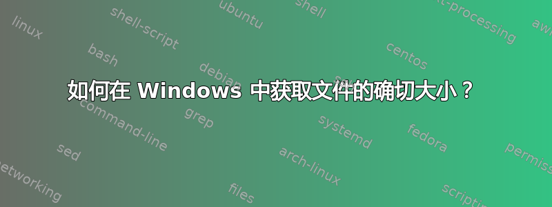 如何在 Windows 中获取文件的确切大小？