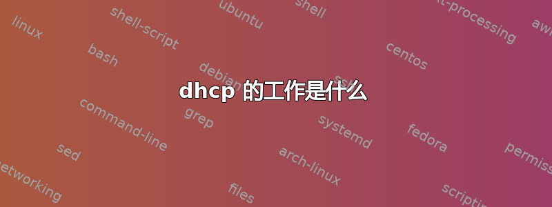 dhcp 的工作是什么