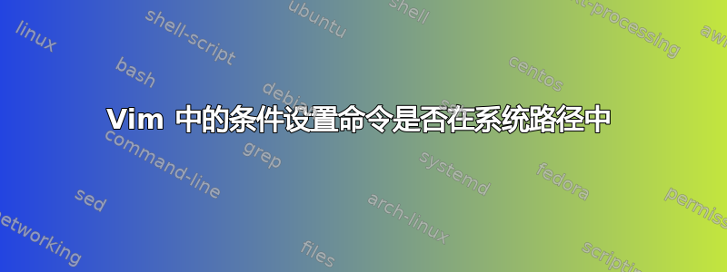 Vim 中的条件设置命令是否在系统路径中