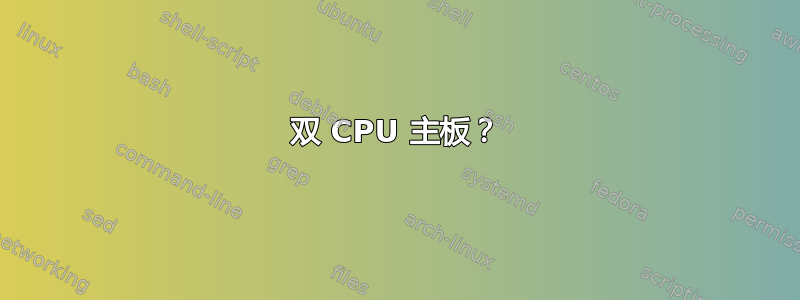 双 CPU 主板？