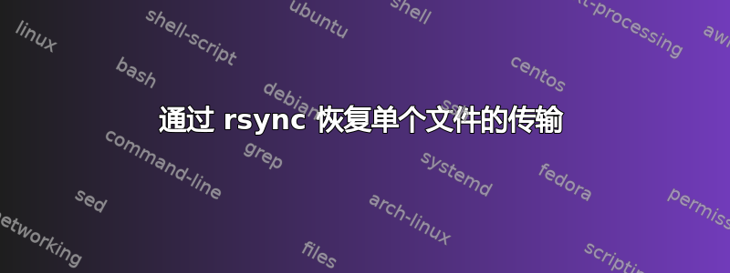 通过 rsync 恢复单个文件的传输