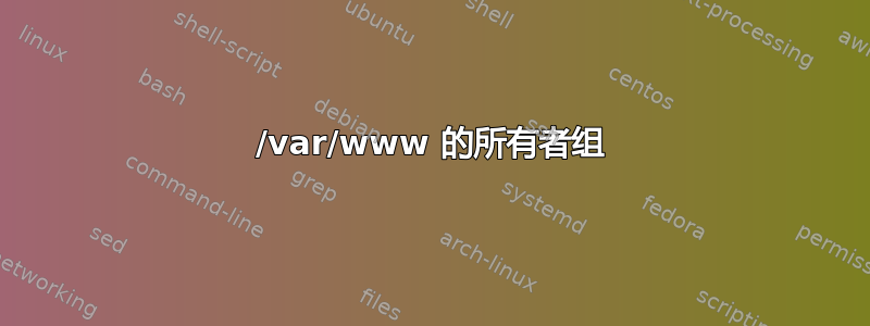 /var/www 的所有者组