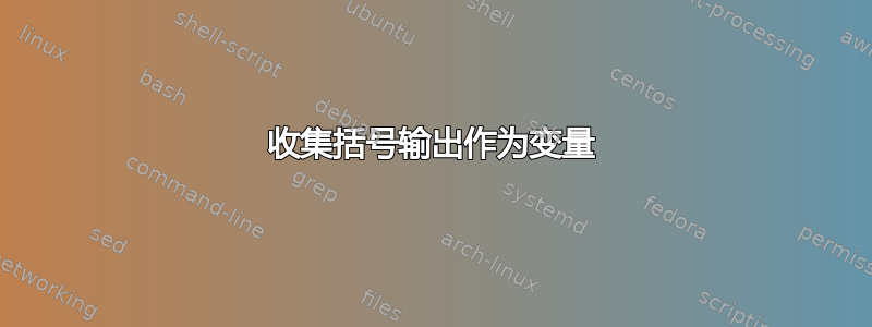 收集括号输出作为变量