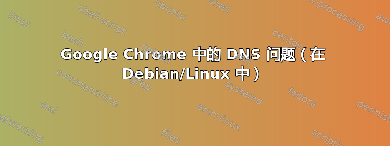 Google Chrome 中的 DNS 问题（在 Debian/Linux 中）