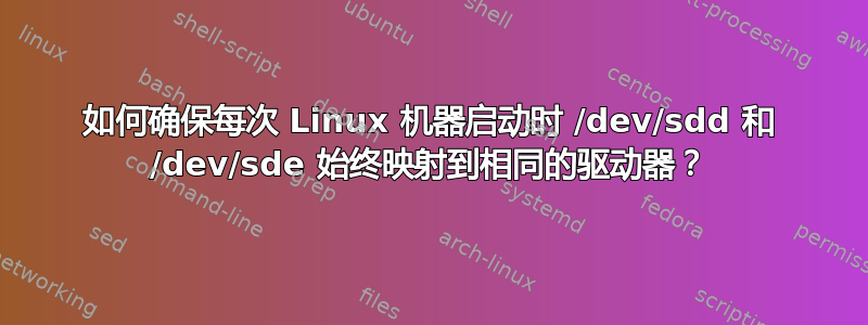 如何确保每次 Linux 机器启动时 /dev/sdd 和 /dev/sde 始终映射到相同的驱动器？