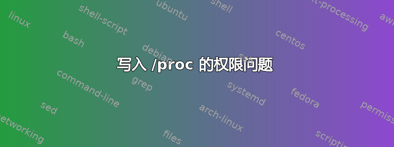 写入 /proc 的权限问题