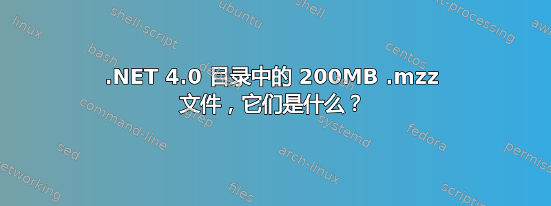 .NET 4.0 目录中的 200MB .mzz 文件，它们是什么？