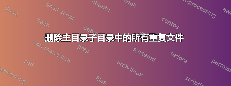 删除主目录子目录中的所有重复文件