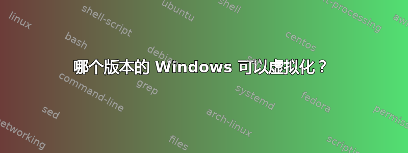 哪个版本的 Windows 可以虚拟化？