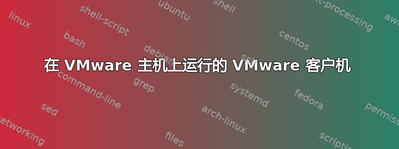 在 VMware 主机上运行的 VMware 客户机