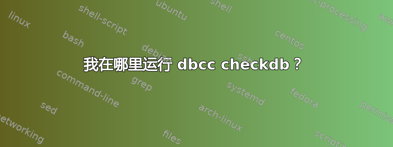 我在哪里运行 dbcc checkdb？