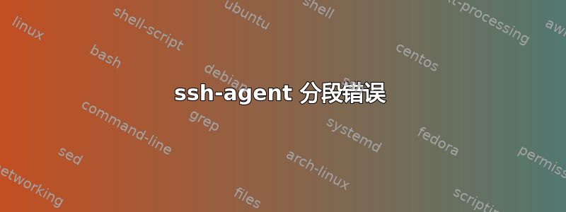 ssh-agent 分段错误