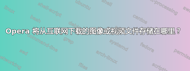 Opera 将从互联网下载的图像或视频文件存储在哪里？