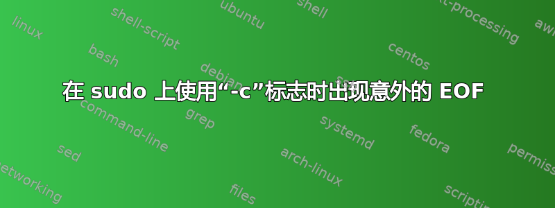 在 sudo 上使用“-c”标志时出现意外的 EOF