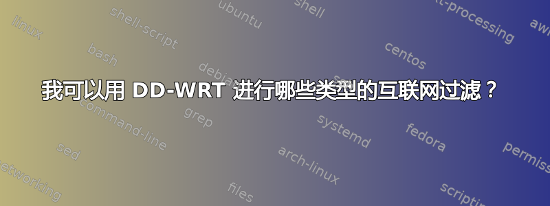 我可以用 DD-WRT 进行哪些类型的互联网过滤？