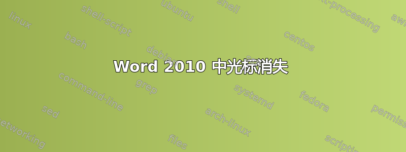 Word 2010 中光标消失