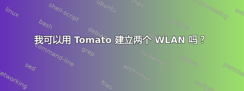 我可以用 Tomato 建立两个 WLAN 吗？